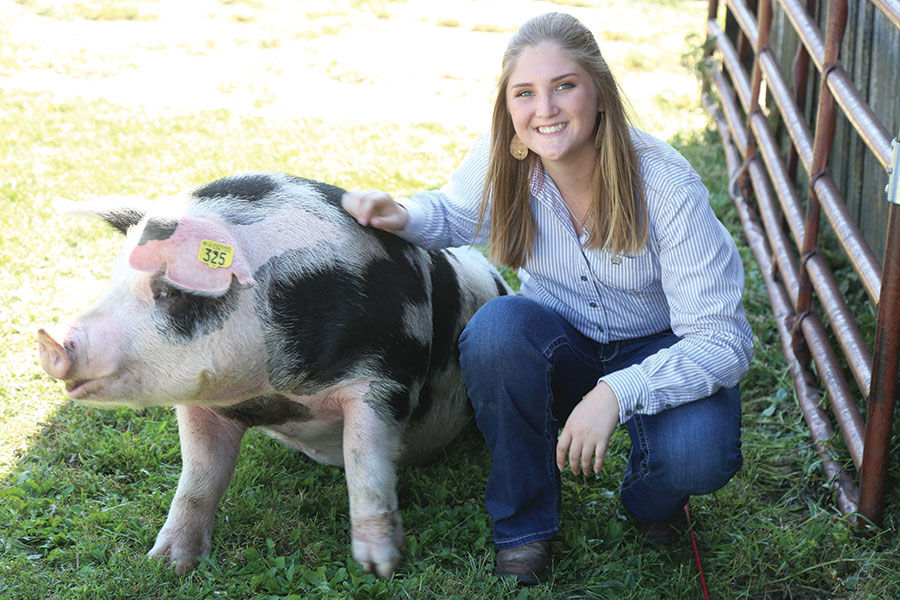 Mariah Murphy show pigs